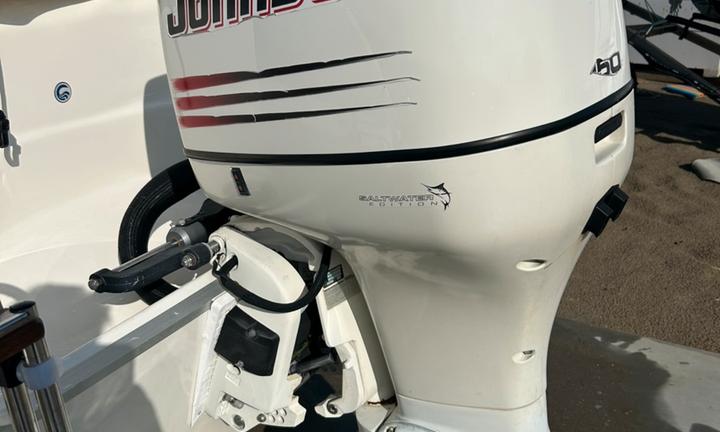Johnson 150 v6