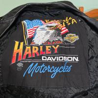 Chiodo Harley Davidson