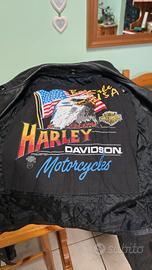 Chiodo Harley Davidson