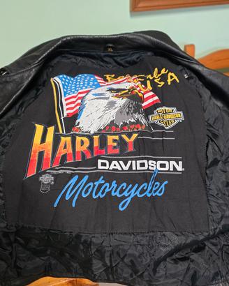 Chiodo Harley Davidson