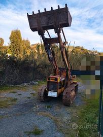 Pala meccanica funzionante