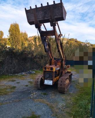 Pala meccanica funzionante