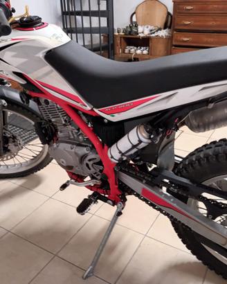 Beta alp 200