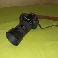 Nikon D80 + Tamron 70-300