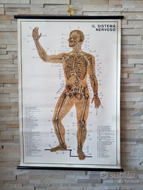 Manifesto didattico PARAVIA del 1969