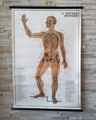 Manifesto didattico PARAVIA del 1969