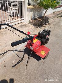 Motozappa Benassi bh 35 Tecumseh 