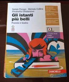 libro letteratura gli istanti più belli 