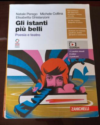 libro letteratura gli istanti più belli 