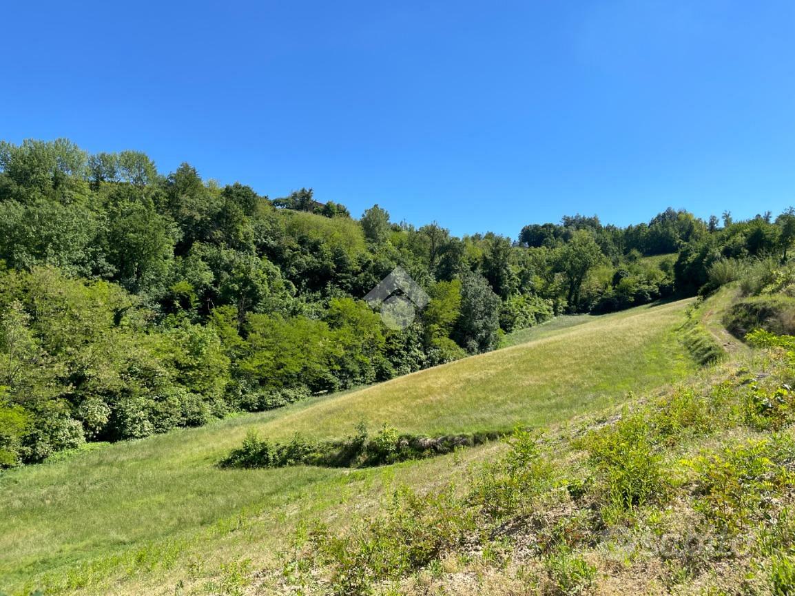 RUSTICO A CASSINASCO - Vista 5