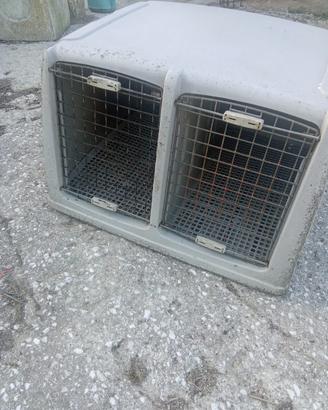 Cassa trasporto cani per auto