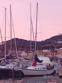 barca a vela classica natante 