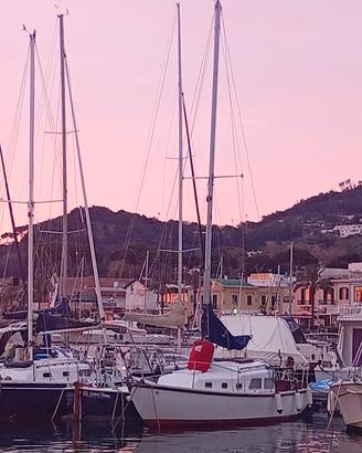 barca a vela classica natante 