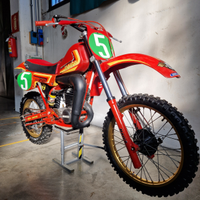 MAICO 250 alpha 1