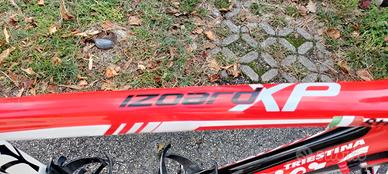 bici corsa wilier triestina