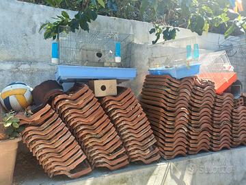 tegole e gabbie uccelli