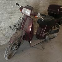 Scooter d'epoca HONDA SH FIFTY 50 originale