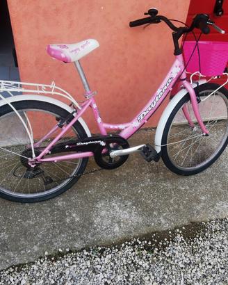 Bicicletta 24 pollici da bambina/Ragazza. 