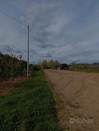 Terreno agricolo in Arena Metato (Pi)