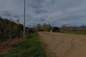 Terreno agricolo in Arena Metato (Pi)
