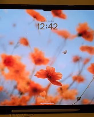 Samsung Tab s10 ultra 14.6 - Wifi - 512gb