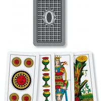 LOTTO 45 MAZZI PIACENTINE 109 TRIPLEX RARISSIME