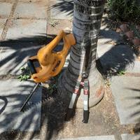 Tagliasiepi / decespugliatore elettrico