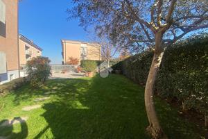 3 LOCALI A COLLECCHIO