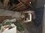 Immagine 14