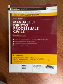 Manuale diritto processuale civile Simone