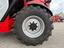 Immagine 5