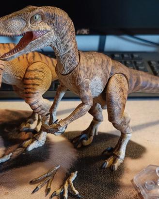 Nanmu Raptor Jurassic Park