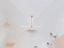 Immagine 12