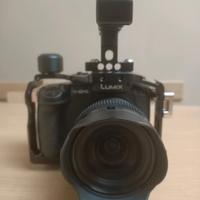 Panasonic gh5