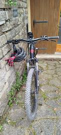 Mountain Bike   Lombardo