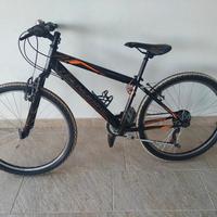 Bicicletta Tecnobike