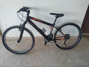 Bicicletta Tecnobike