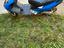 Immagine 2