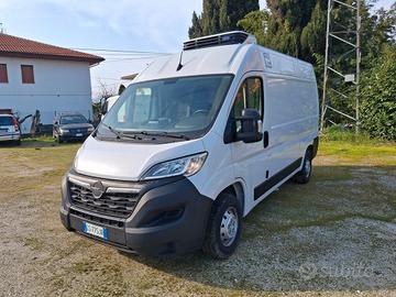 Fiat Ducato 2.2 Mjt Km 1.400 12/2023 "FRIGO"