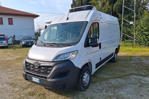 Fiat Ducato 2.2 Mjt Km 1.400 12/2023 "FRIGO"