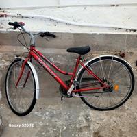 bicicletta donna