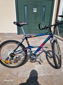 bicicletta MTB