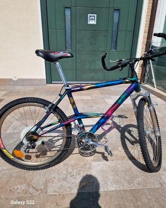 bicicletta MTB