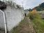 Immagine 26