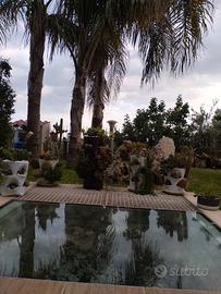 Telaio con griglia + vetro blindato 18/19