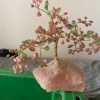 Albero vita soldi fortuna alberi di pietra pietre