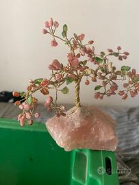 Albero vita soldi fortuna alberi di pietra pietre