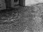 Immagine 13