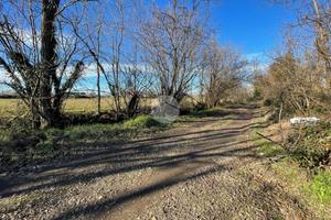 TER. AGRICOLO A ROBECCO SUL NAVIGLIO