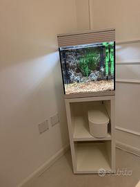Acquario Askoll Pure M